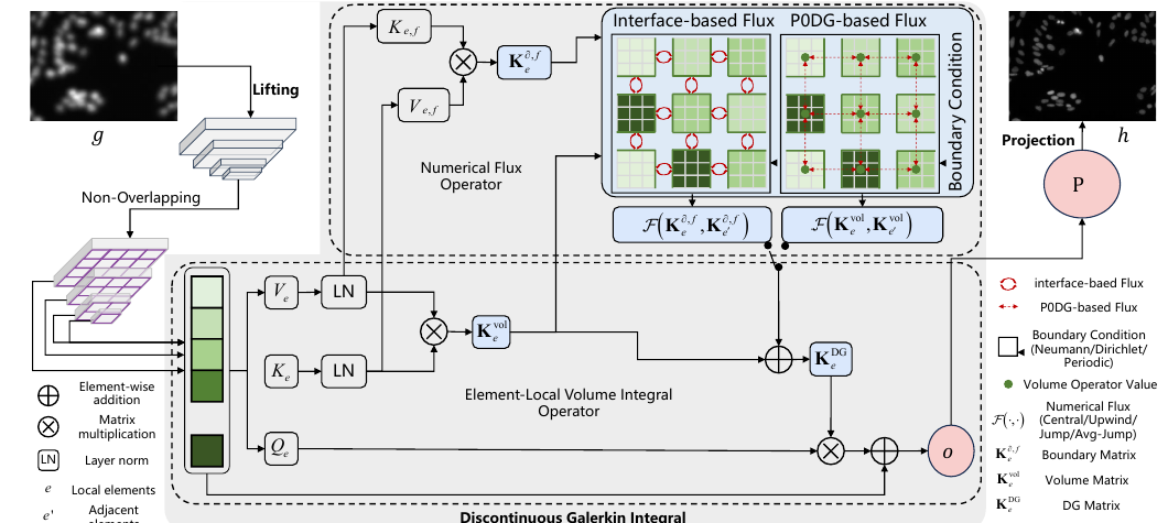 Architecture of the DGNO pathology deblurring method