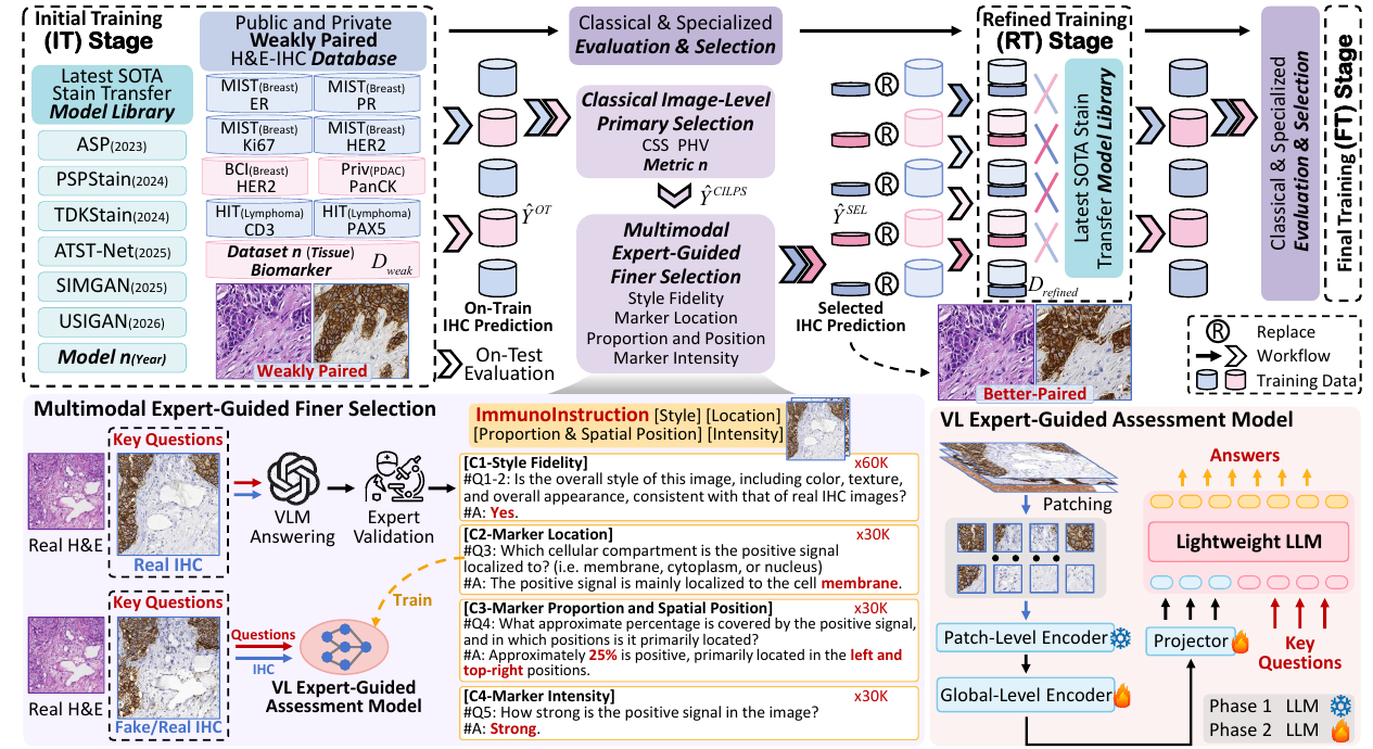 Overview of the DMCoStain framework