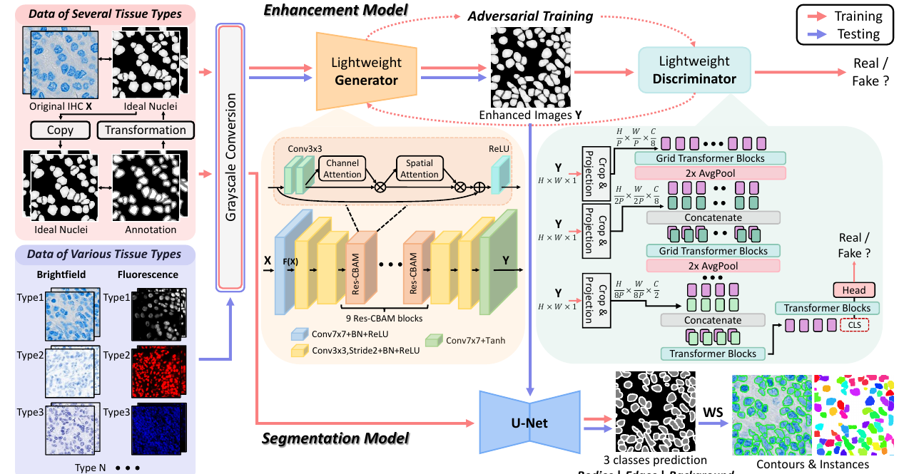 Overview of the GeNSeg-Net framework